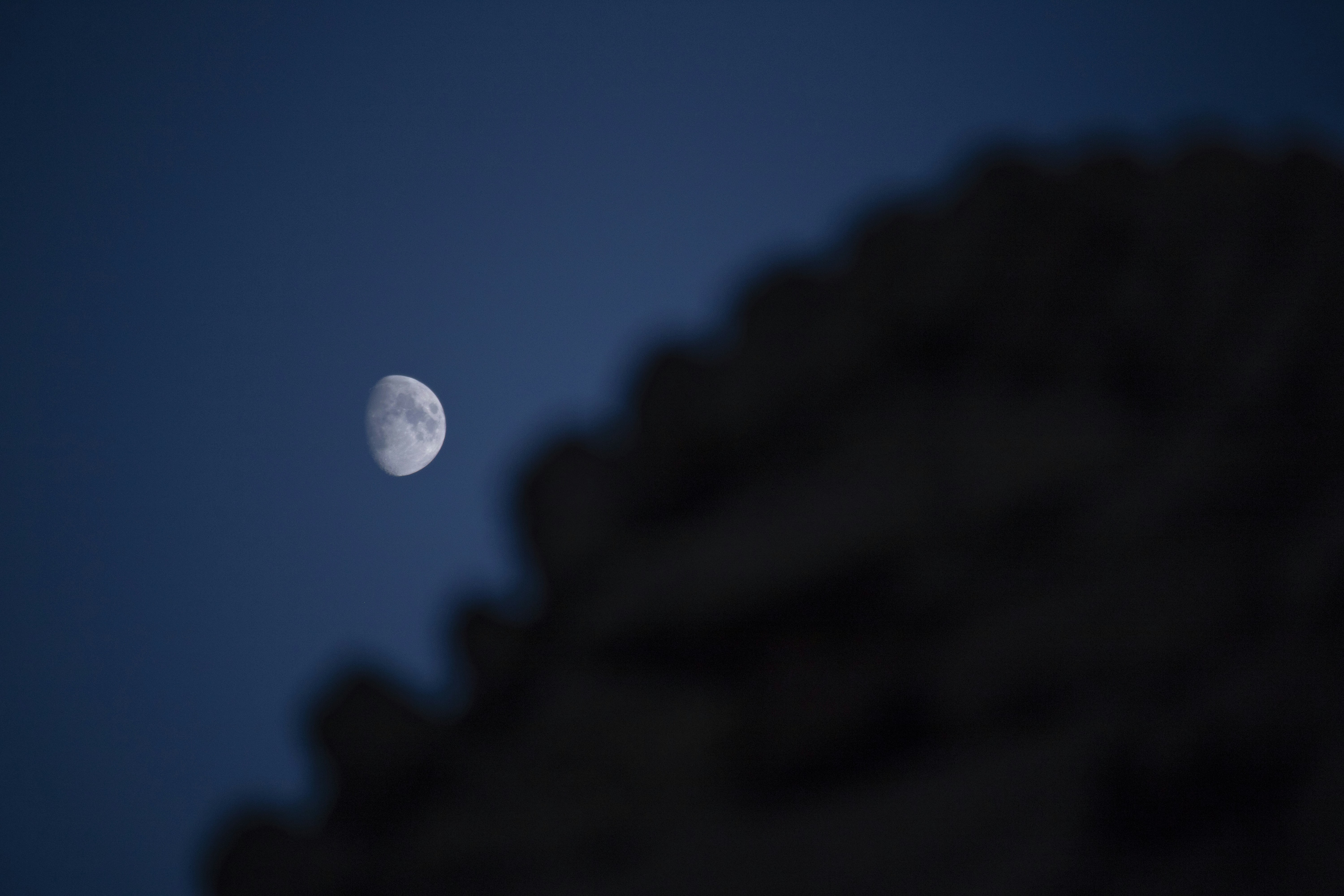 Photo by mostafa_meraji