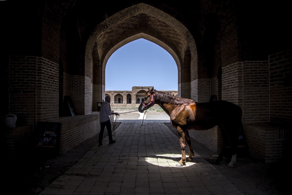 man pulling horse inside arch hall