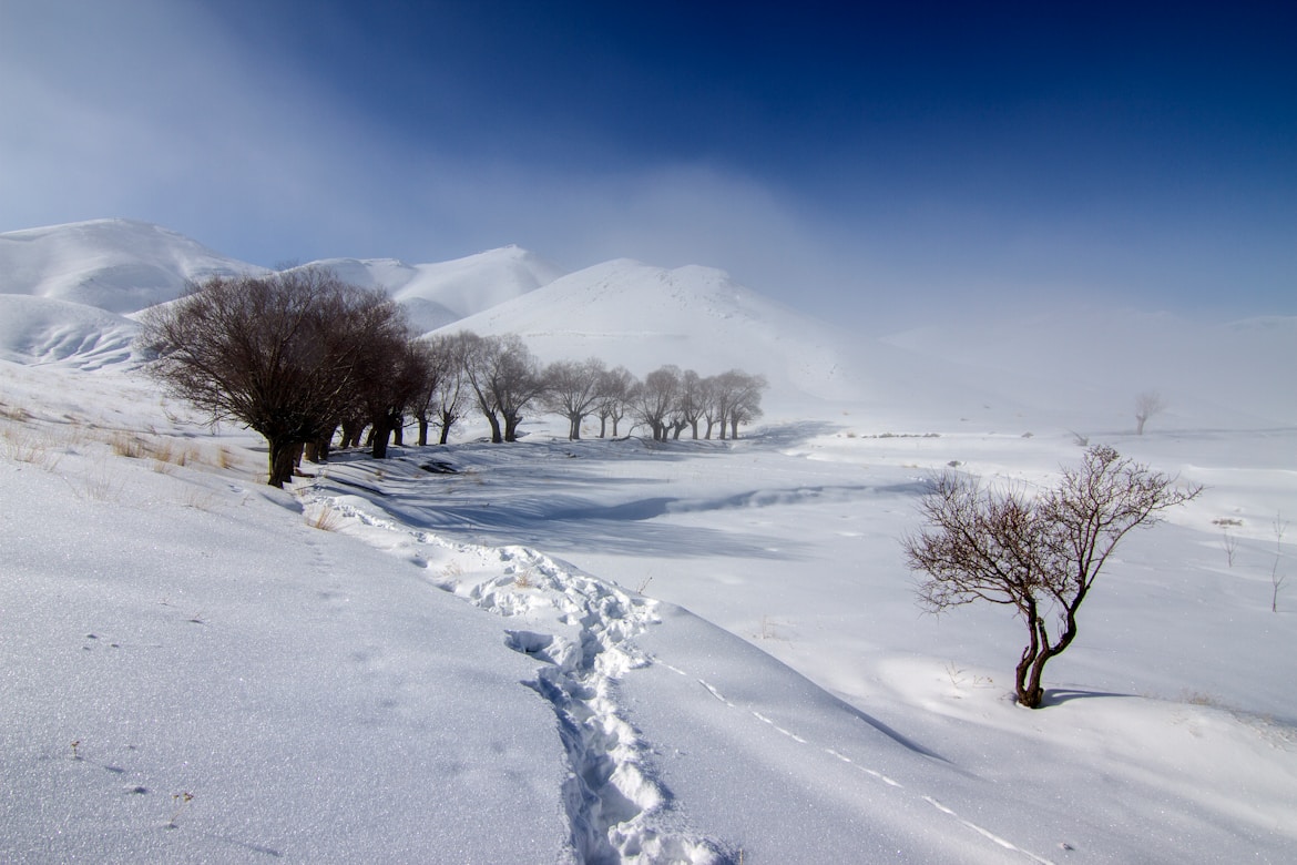 Afghanistan