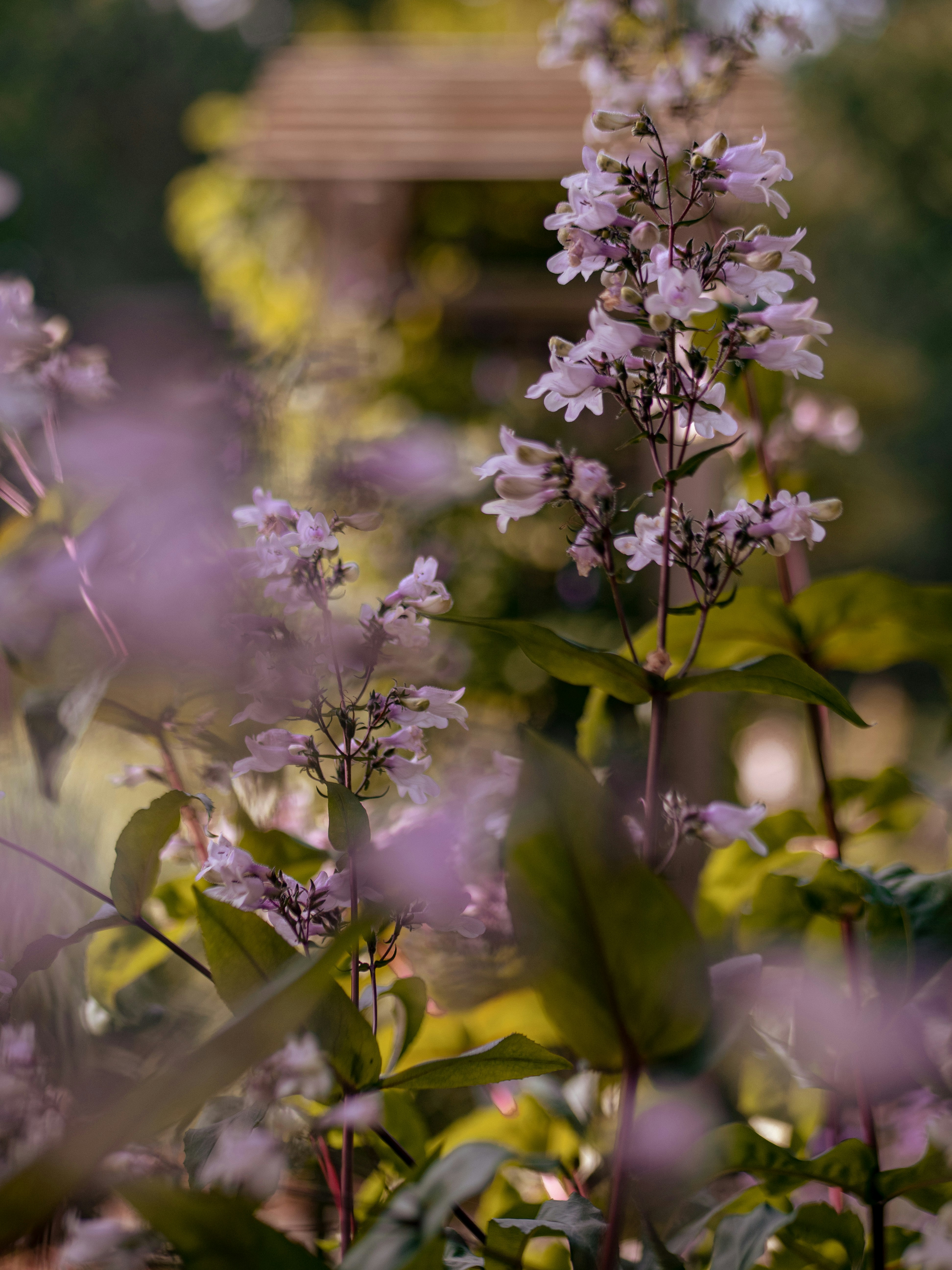 Photo by aaronburden