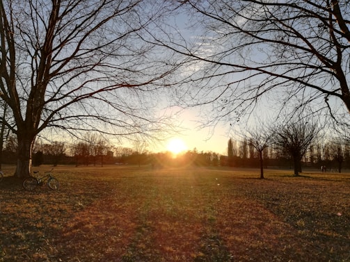 Sunset view of a bike resting by a peaceful park trail in Ludbreg