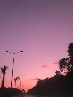 A serene sunset over a quiet southern highway lined with tall pine trees.