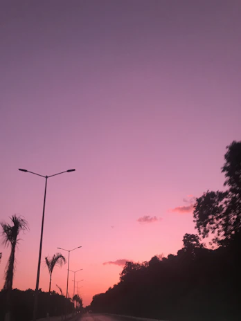 A serene view of wide concrete roads and street lights within the gated community at sunset.