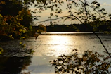 Sunset casting warm hues over a quiet lakeside with gentle ripples.