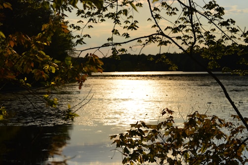 Sunset casting warm hues over a serene forest lake.