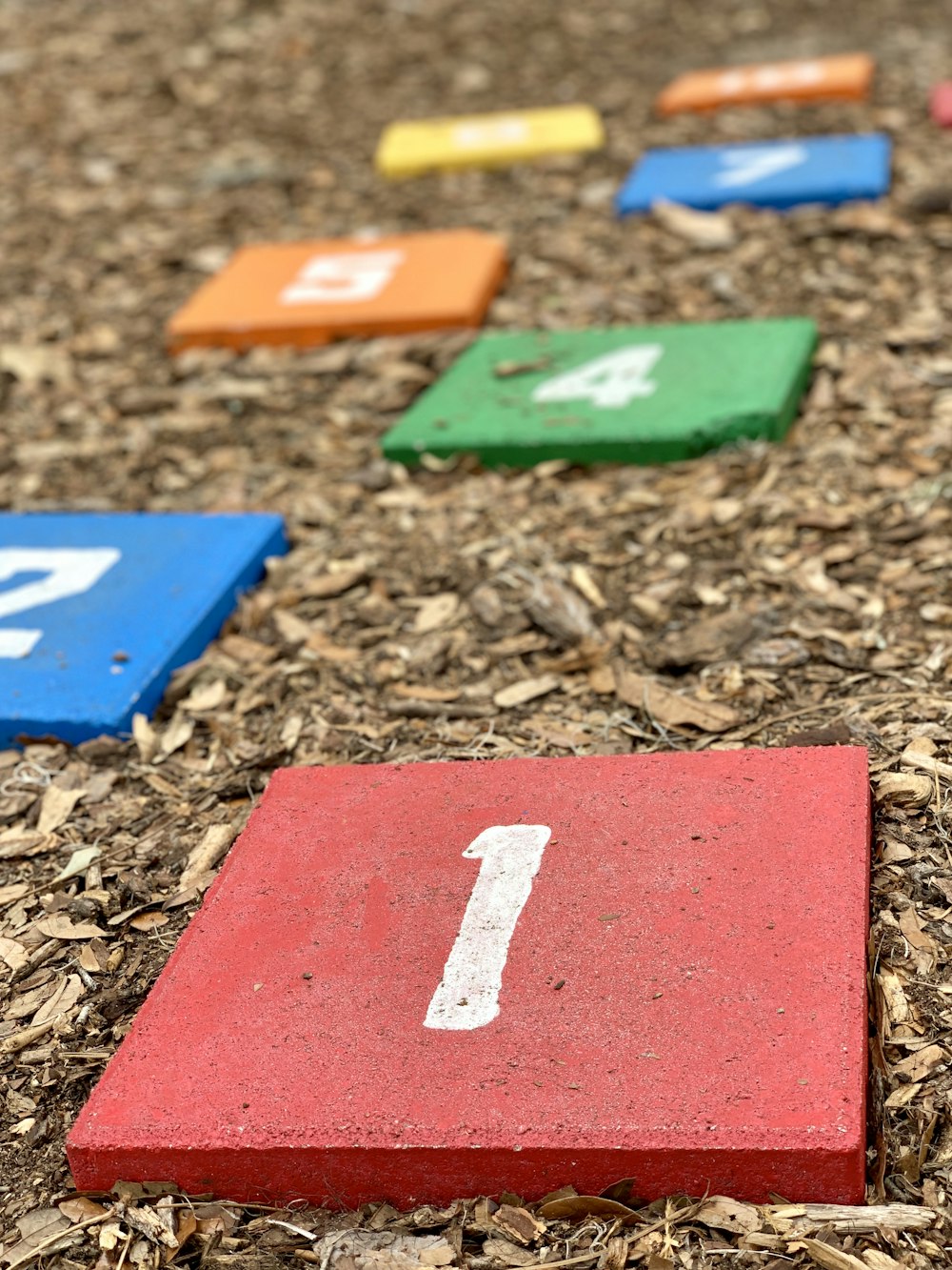 multicolored number boards