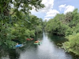 Guests kayaking through the calm river surrounded by dense green forest