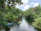 A serene river scene with kayakers gliding past lush green banks under a clear blue sky.