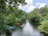 A serene river scene with kayakers gliding past lush green banks under a clear blue sky.