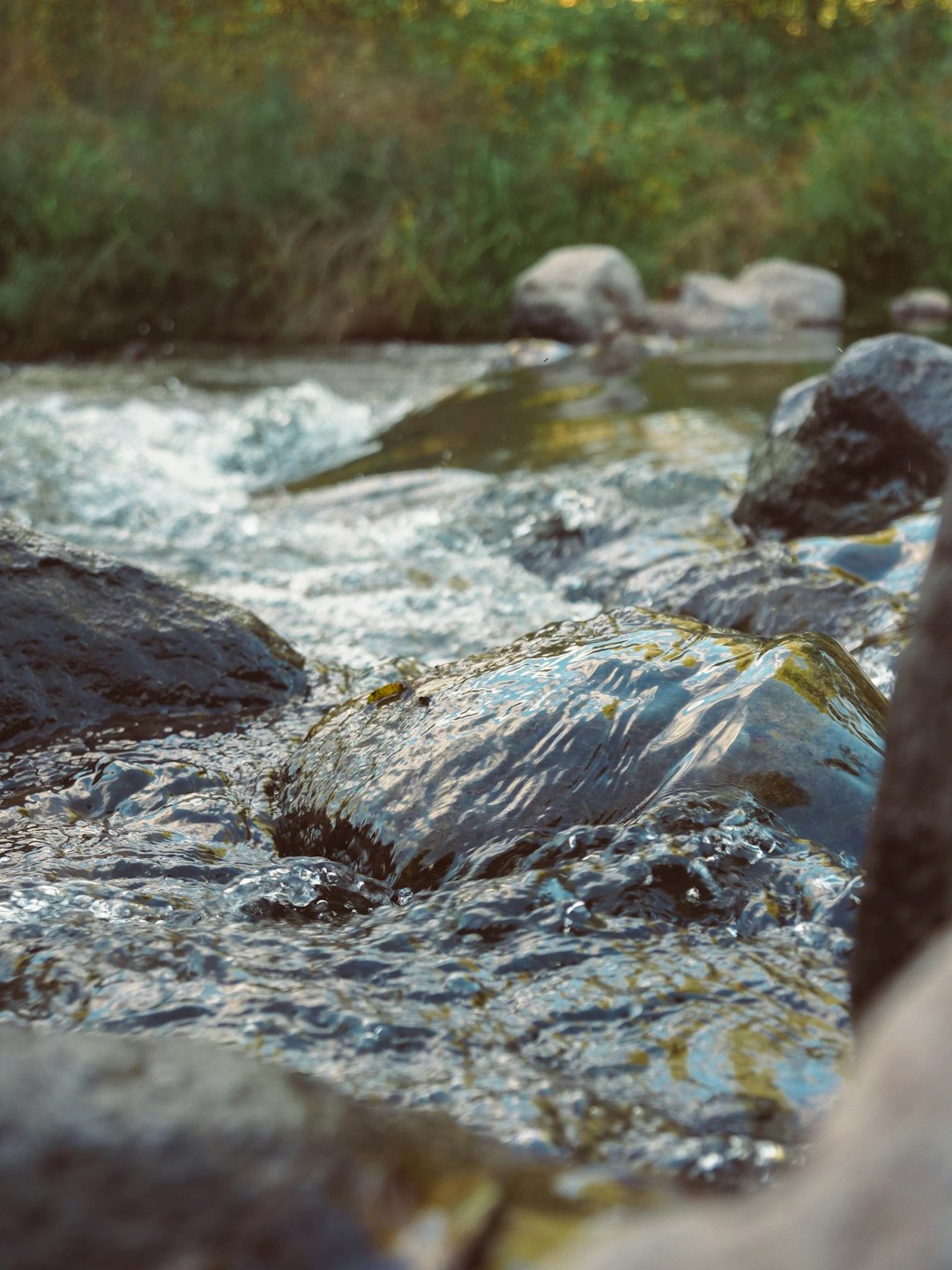 body of water during daytime