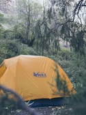 A bright orange tent is set up amidst a dense, green forest. Tall trees surround the tent, with some branches extending over it. The brand logo on the tent reads 'REI co-op.' The ground is covered with leaves and small plants, adding to the lush natural environment.