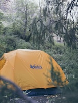 A bright orange tent is set up amidst a dense, green forest. Tall trees surround the tent, with some branches extending over it. The brand logo on the tent reads 'REI co-op.' The ground is covered with leaves and small plants, adding to the lush natural environment.