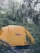A bright orange tent is set up amidst a dense, green forest. Tall trees surround the tent, with some branches extending over it. The brand logo on the tent reads 'REI co-op.' The ground is covered with leaves and small plants, adding to the lush natural environment.
