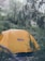 A bright orange tent is set up amidst a dense, green forest. Tall trees surround the tent, with some branches extending over it. The brand logo on the tent reads 'REI co-op.' The ground is covered with leaves and small plants, adding to the lush natural environment.