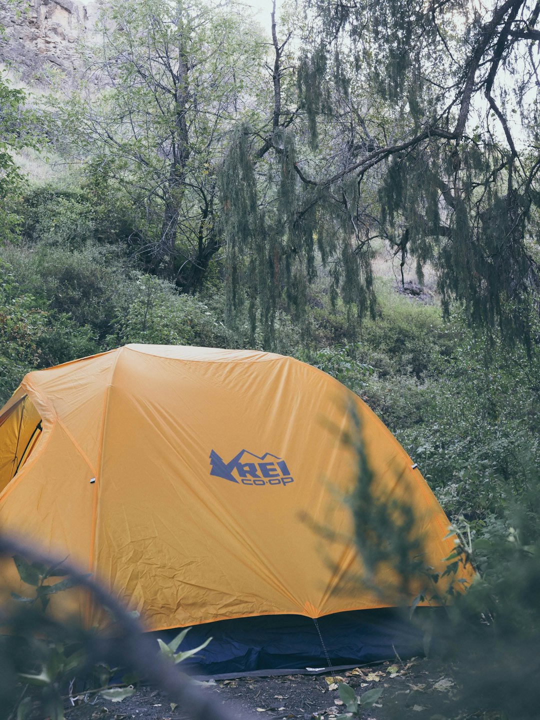 yellow and blue dome tent under trees