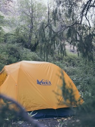 A bright orange tent is set up amidst a dense, green forest. Tall trees surround the tent, with some branches extending over it. The brand logo on the tent reads 'REI co-op.' The ground is covered with leaves and small plants, adding to the lush natural environment.