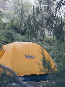 A bright orange tent is set up amidst a dense, green forest. Tall trees surround the tent, with some branches extending over it. The brand logo on the tent reads 'REI co-op.' The ground is covered with leaves and small plants, adding to the lush natural environment.