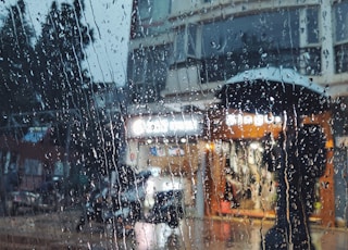 people holding umbrella