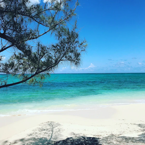 Nassau, Bahamas photo 2