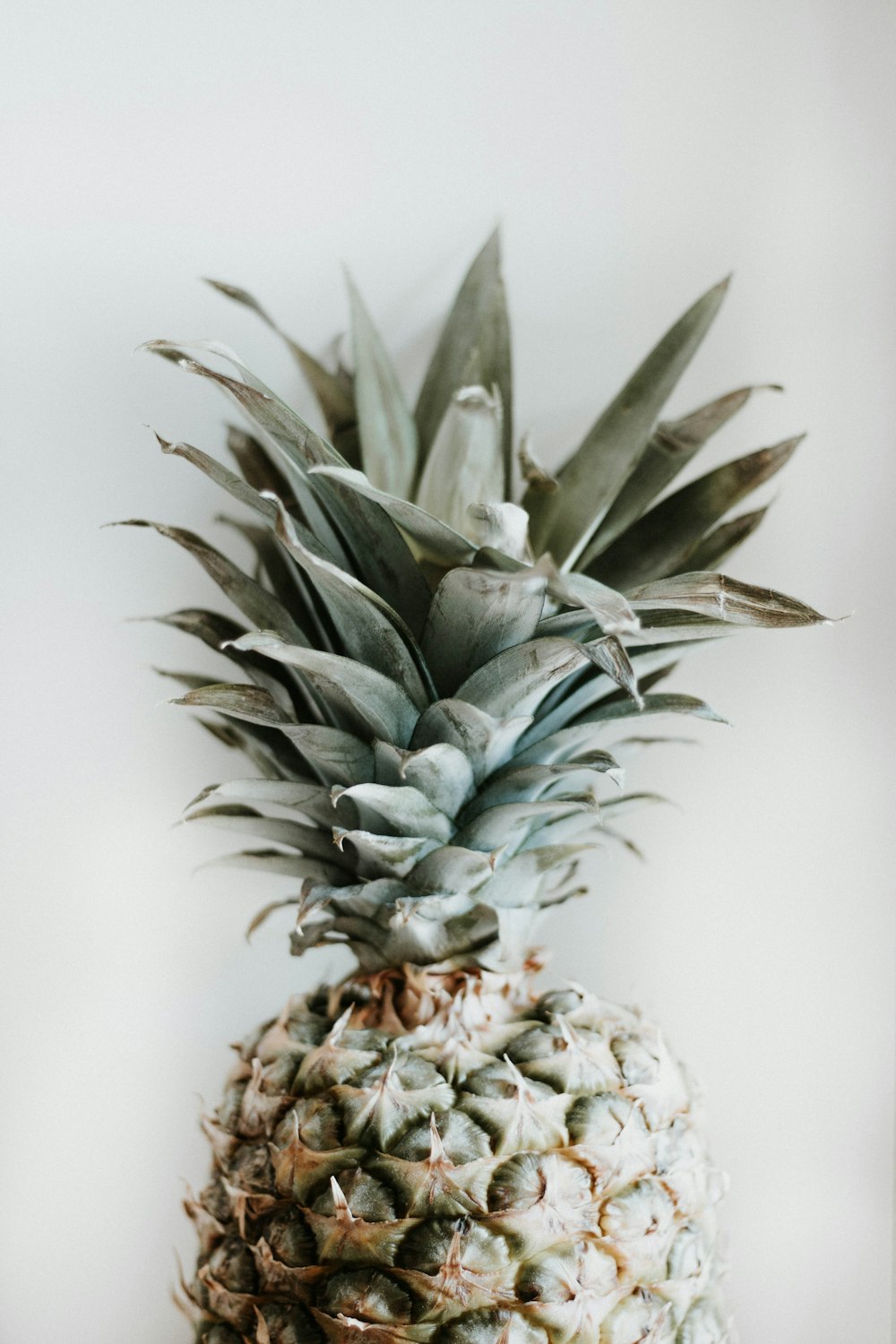 yellow pineapple fruit on white surface