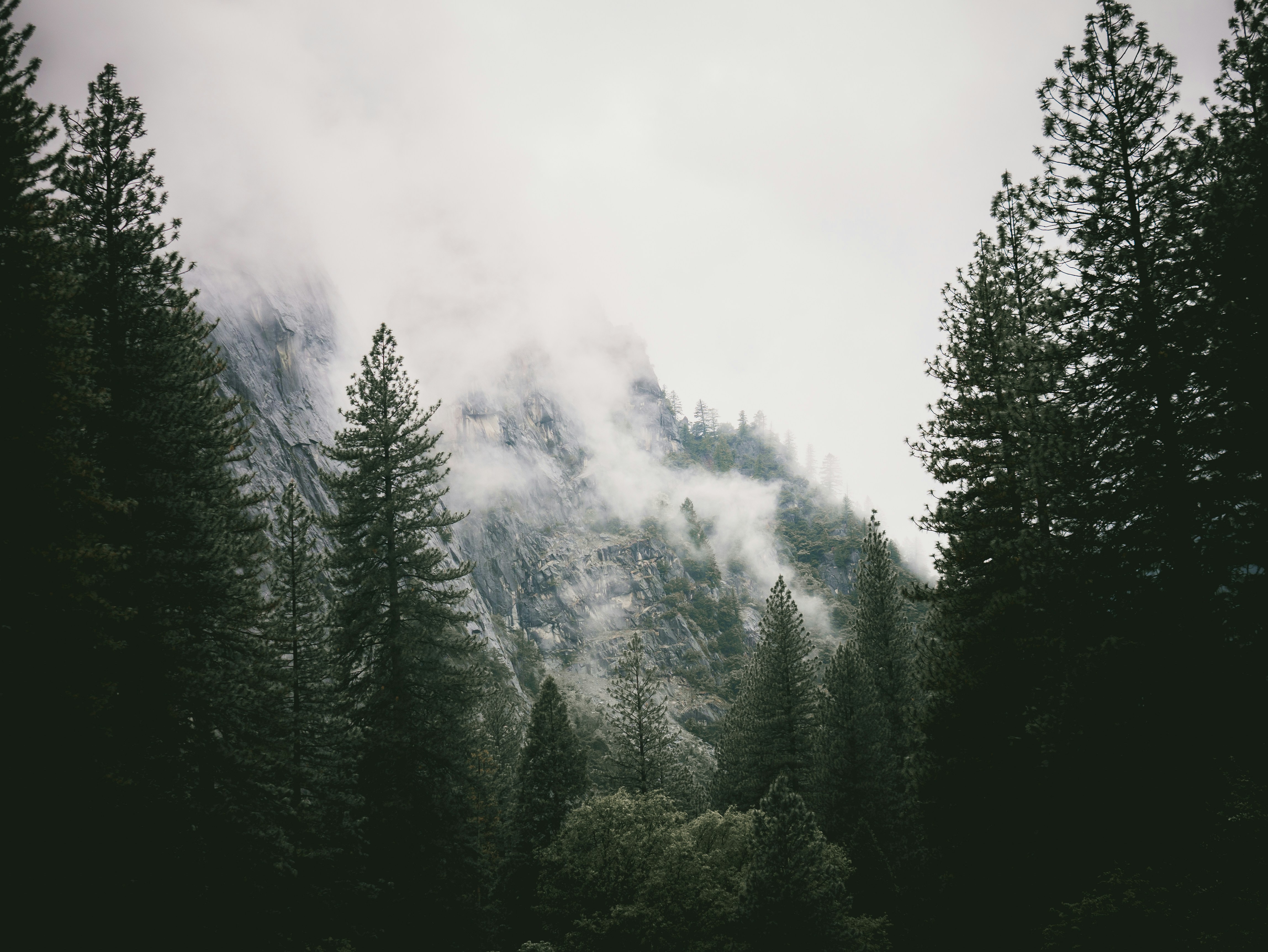 Photo by kevinandrephotography