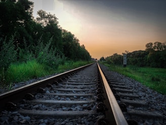 train tracks during golden hour
