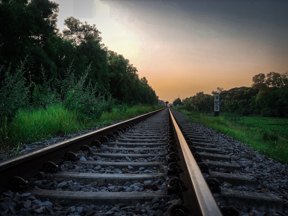 trilhos de trem durante a hora dourada