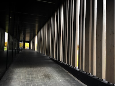 A long corridor featuring vertical wooden slats on one side and a reflective glass wall on the other. The floor is paved with gray tiles, and natural light filters through the slats, creating an interplay of shadows and light. In the distance, elements of greenery and a glimpse of an outdoor scene add color to the otherwise monochromatic interior.