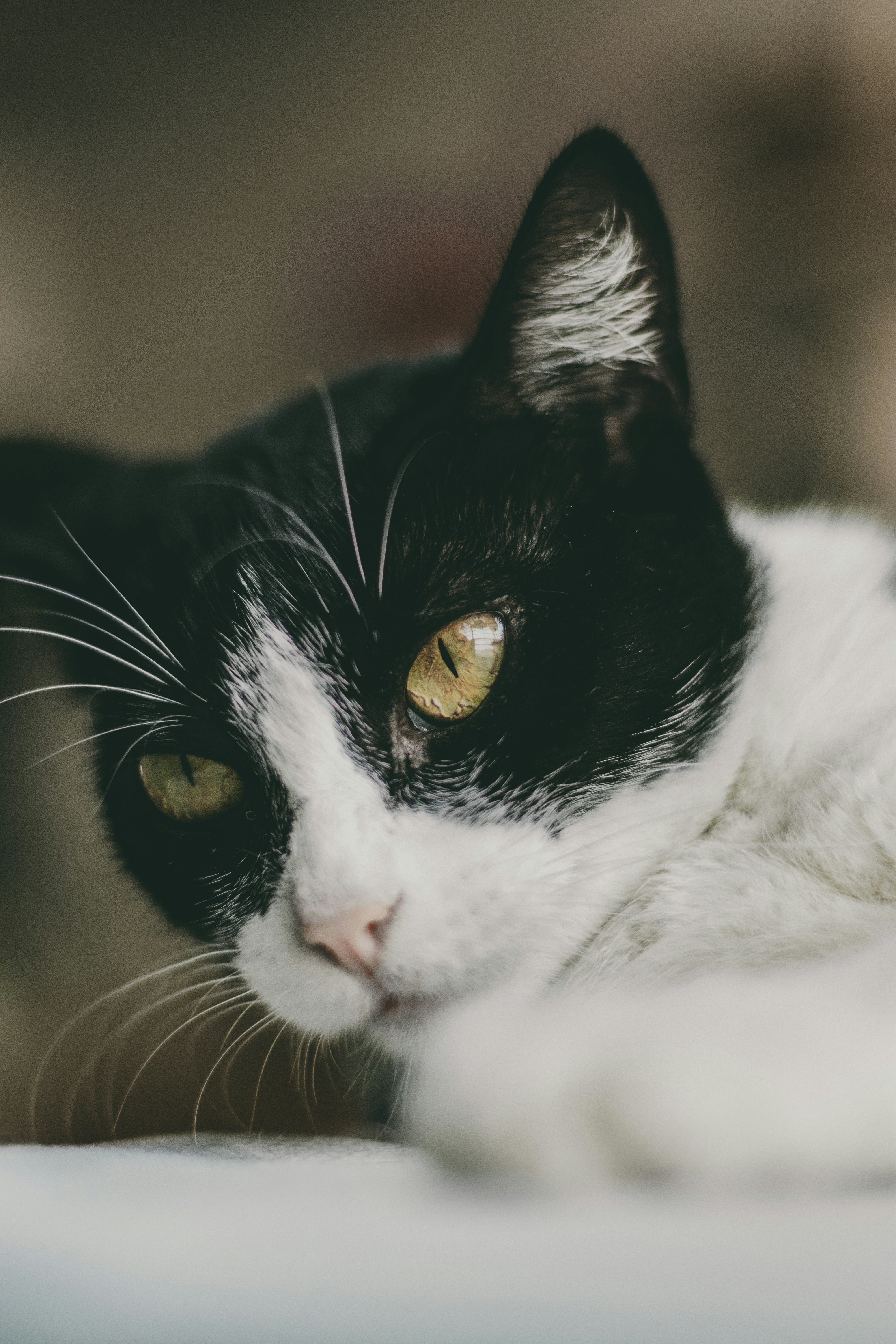 Photo by fraynavarro