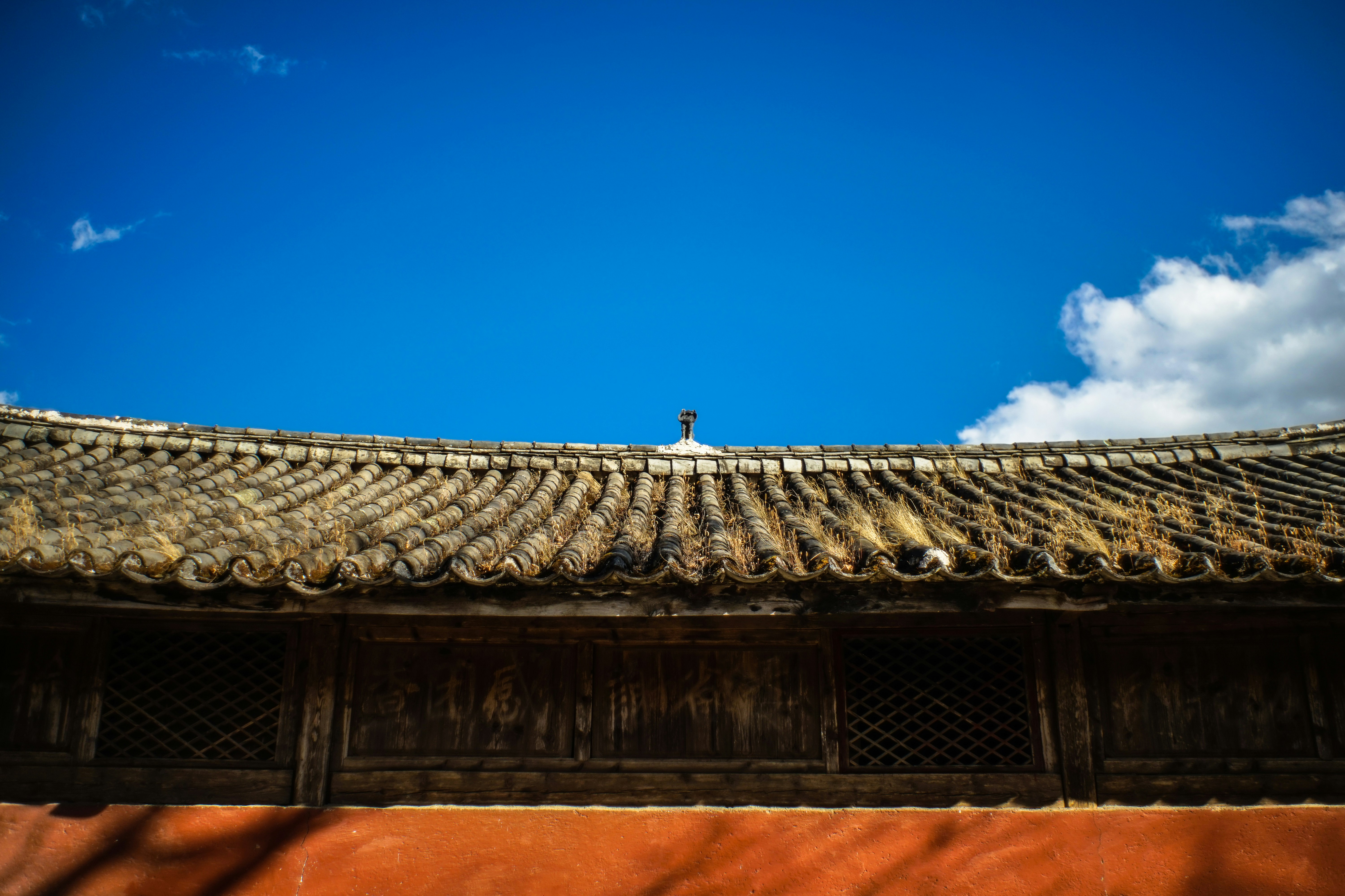 Photo by invisibledragon