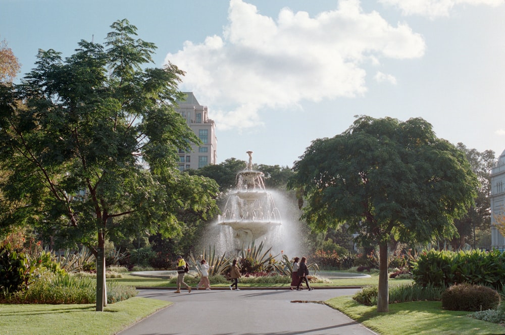 few people walking near outdoor water fountain surrounded with tall and green trees under white and blue skies