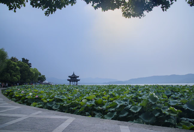 3-Day Hangzhou Budget Itinerary: Travel for $11 a Day