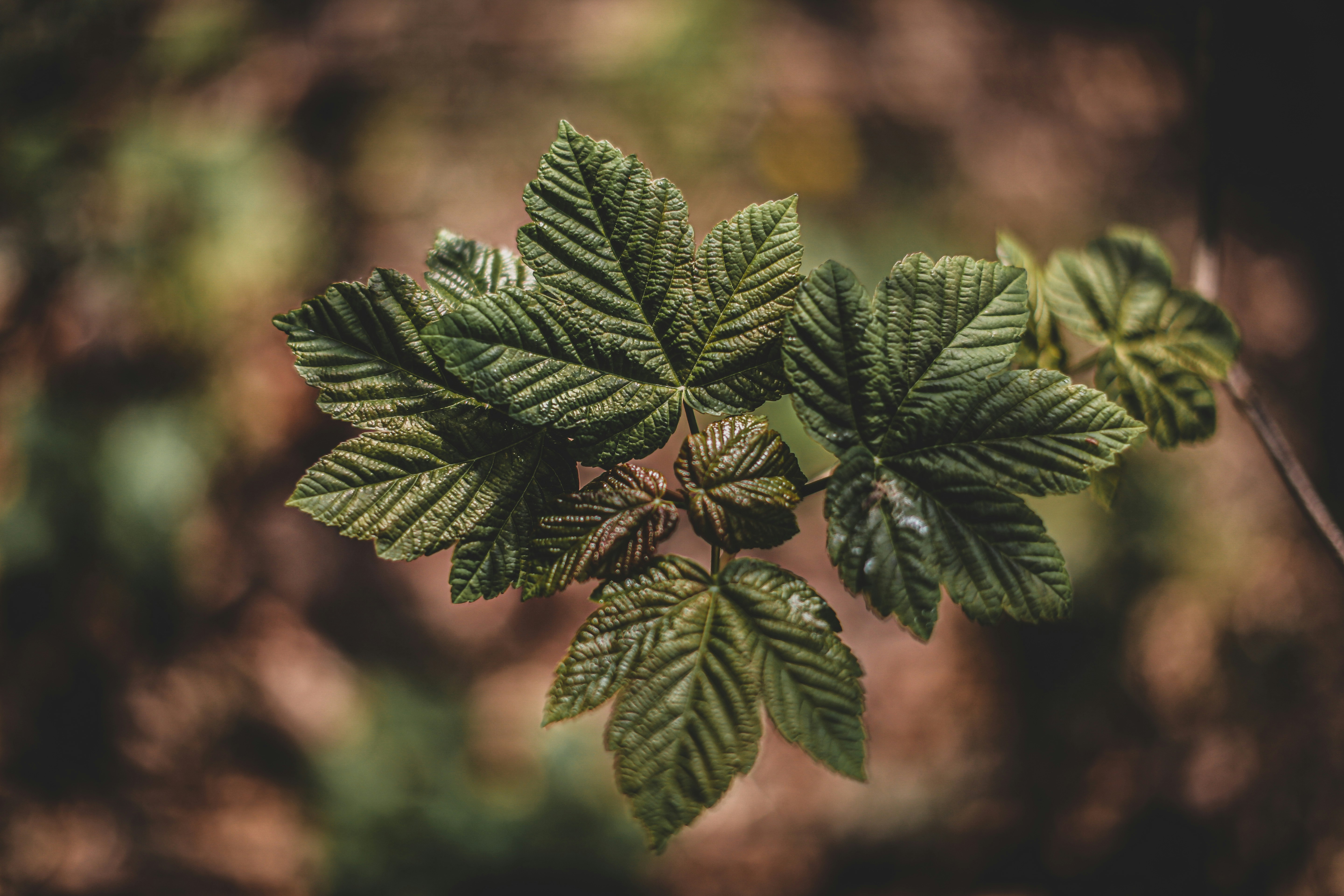 Photo by blackprojection