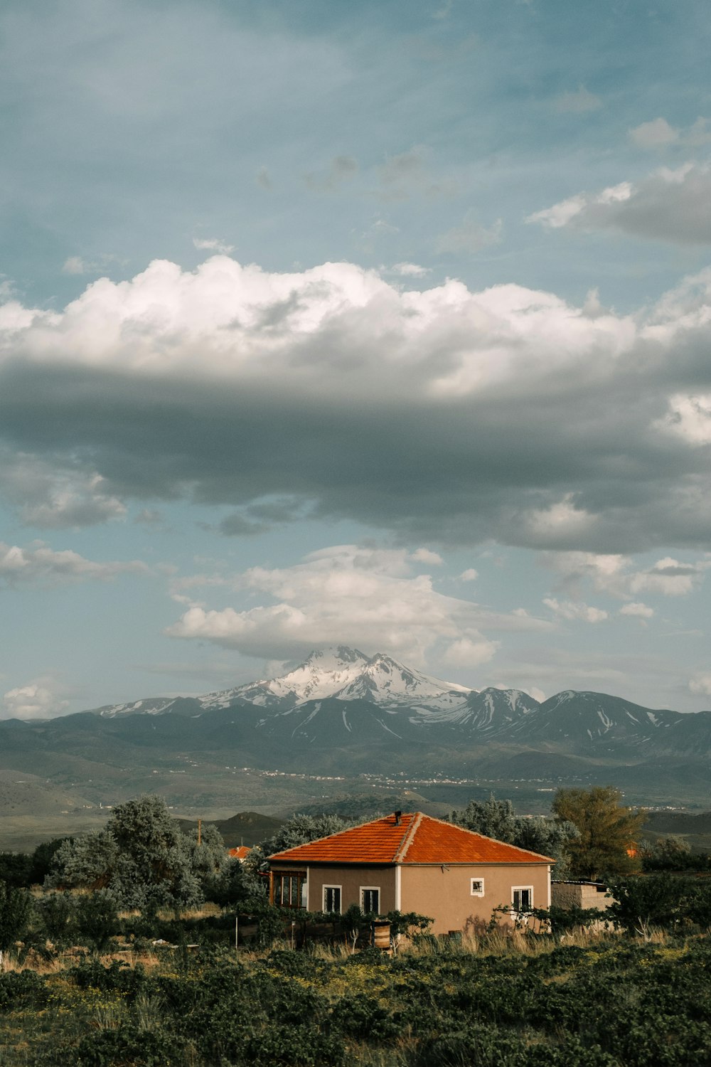 Casa marrone vicino all'albero