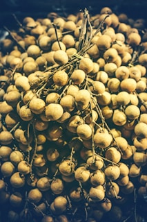 A cluster of longan fruits still attached to their branches, exhibiting a rough, tan-colored outer shell. The overall appearance is dense, with the fruits tightly packed together against a dark background.
