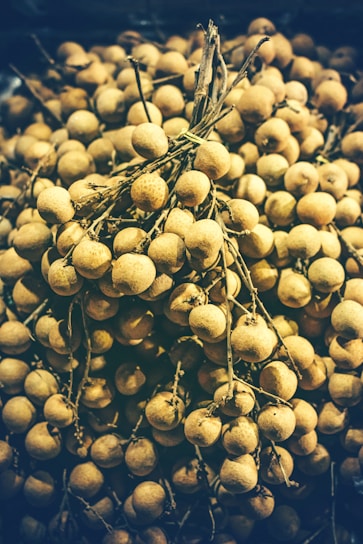 A cluster of longan fruits still attached to their branches, exhibiting a rough, tan-colored outer shell. The overall appearance is dense, with the fruits tightly packed together against a dark background.