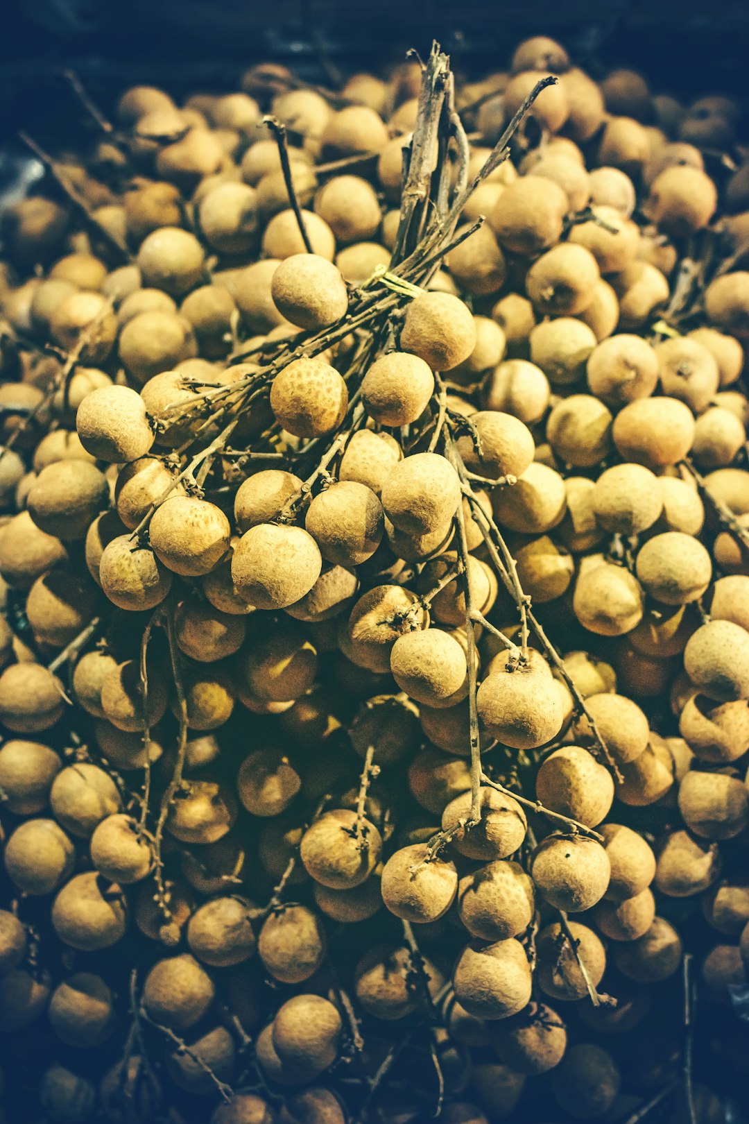 bunch of lanzones fruit