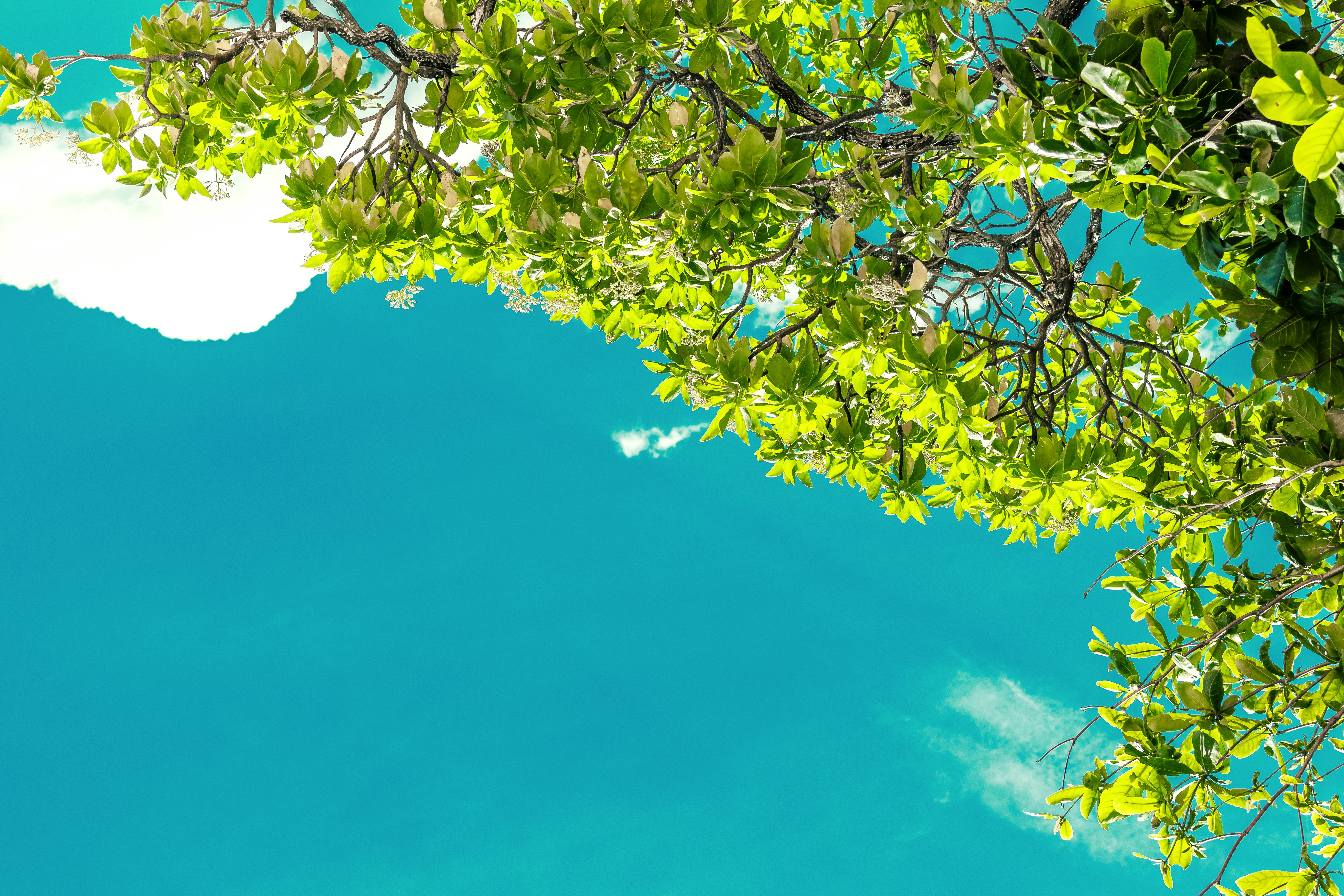 photo-1558425078-5af593e39f46?ixlib=rb-1.2.1&ixid=eyJhcHBfaWQiOjEyMDd9&auto=format&fit=crop&w=1500&q=80