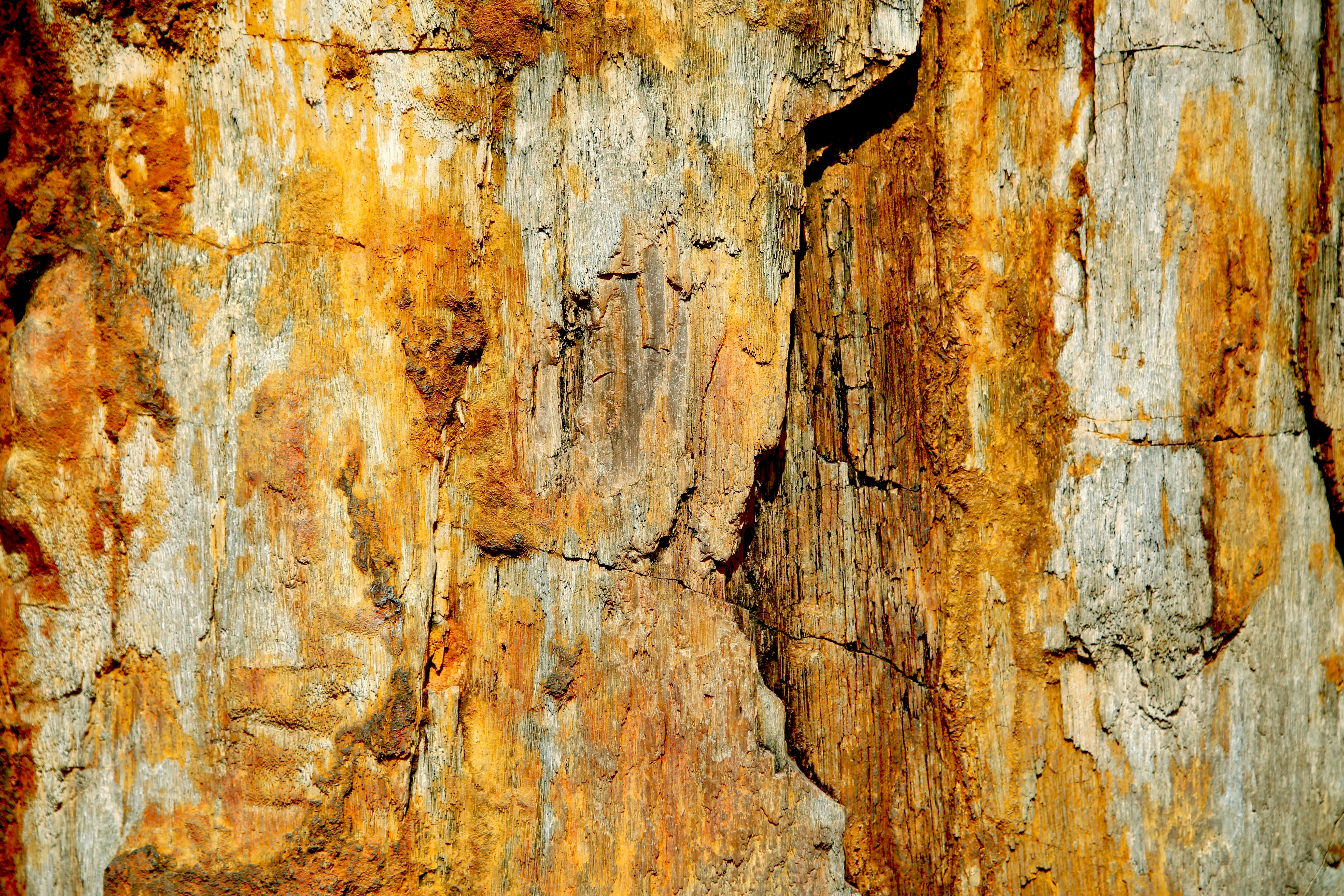 Photo by graphicnode