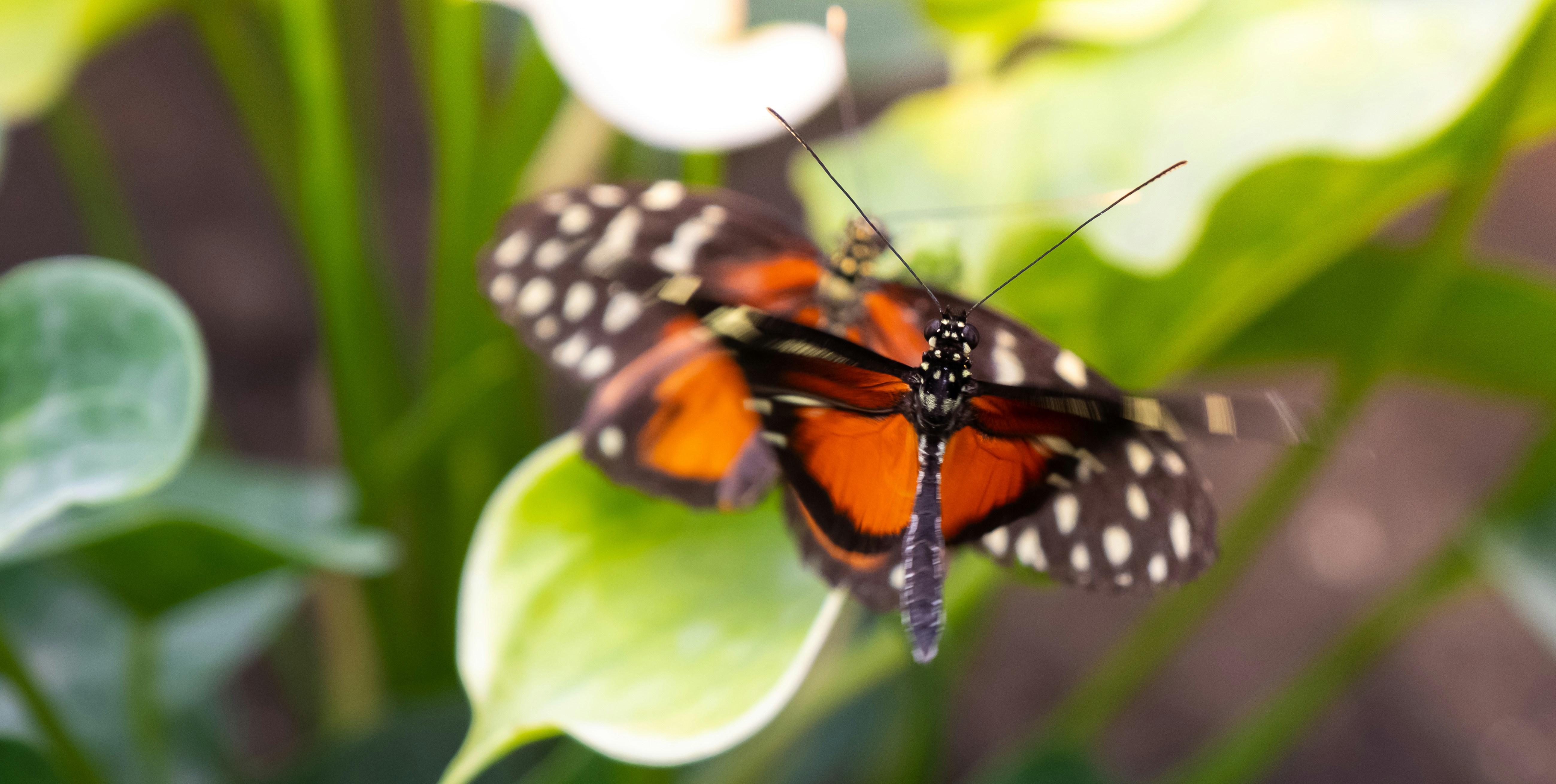 Photo by robinmathlener