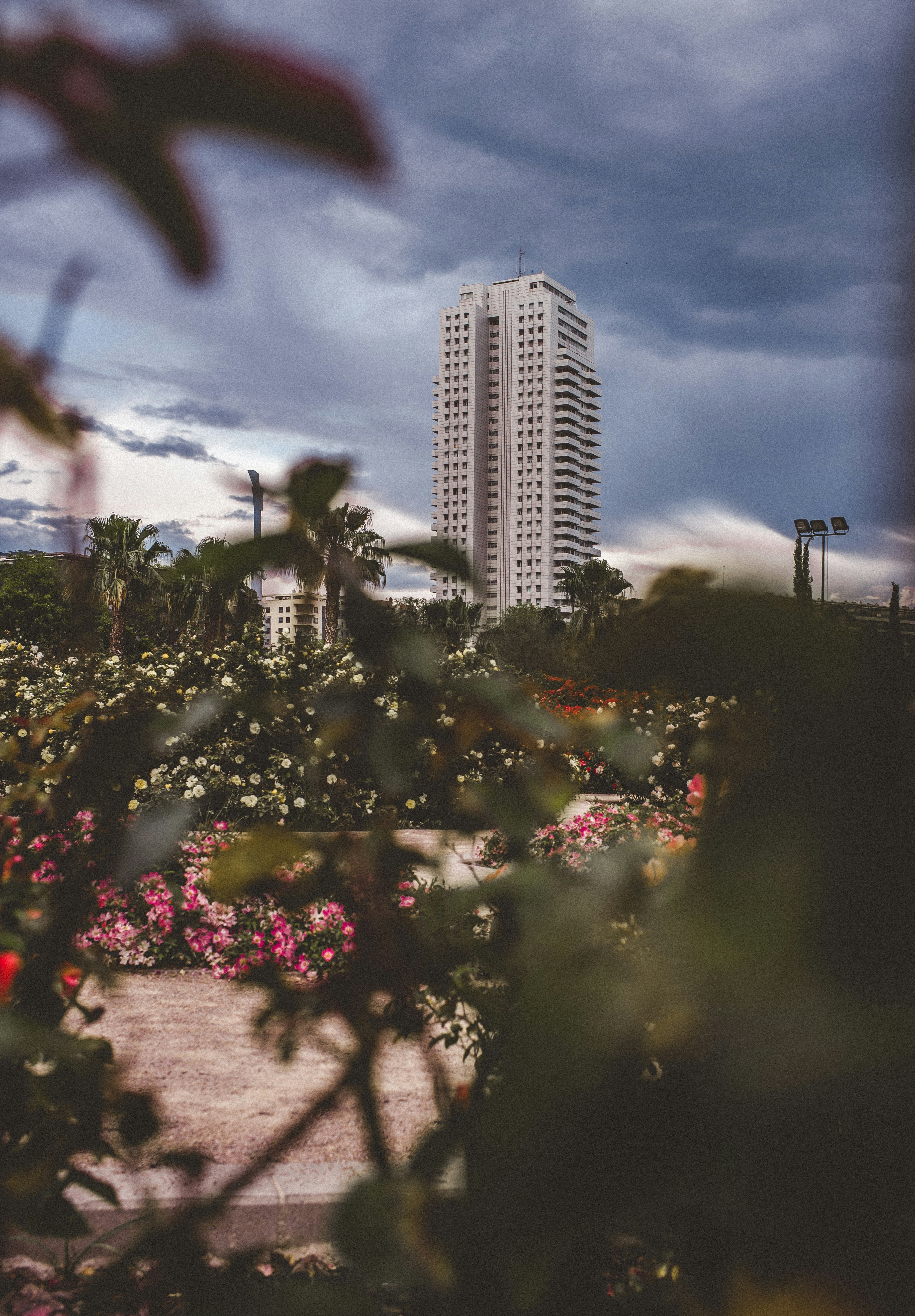 Containers in Palm Beach Gardens, FL