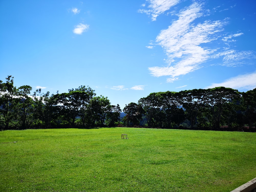 green field surrounded with tall and green trees under blue and white skies