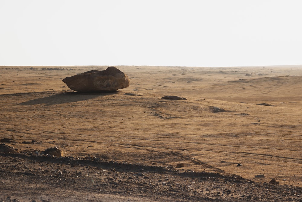 Roca marrón en medio del desierto