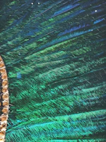green peacock feathers
