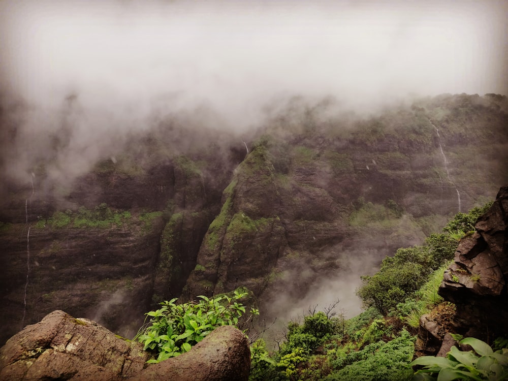 fogs forming on mountain