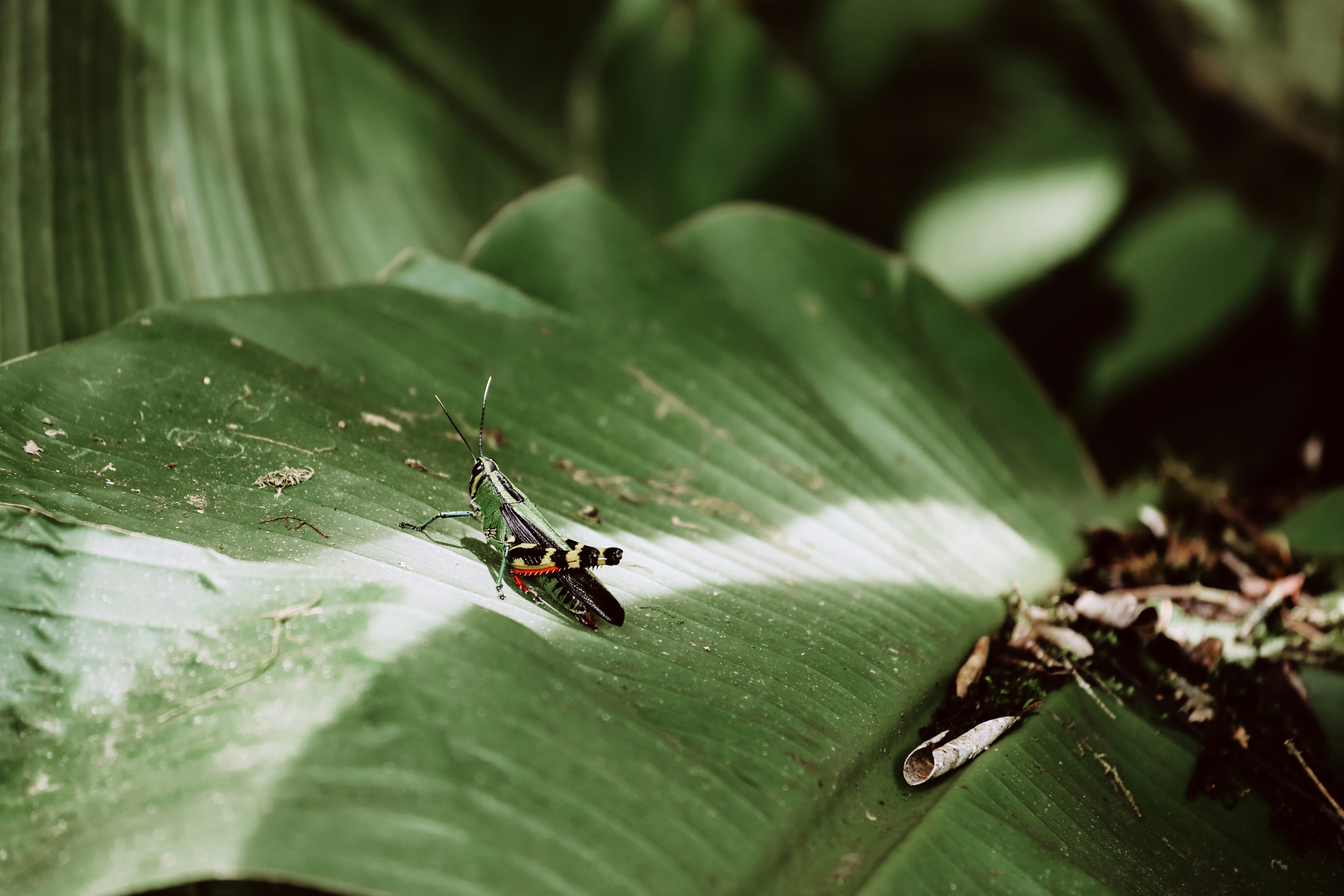 Photo by graphicnode