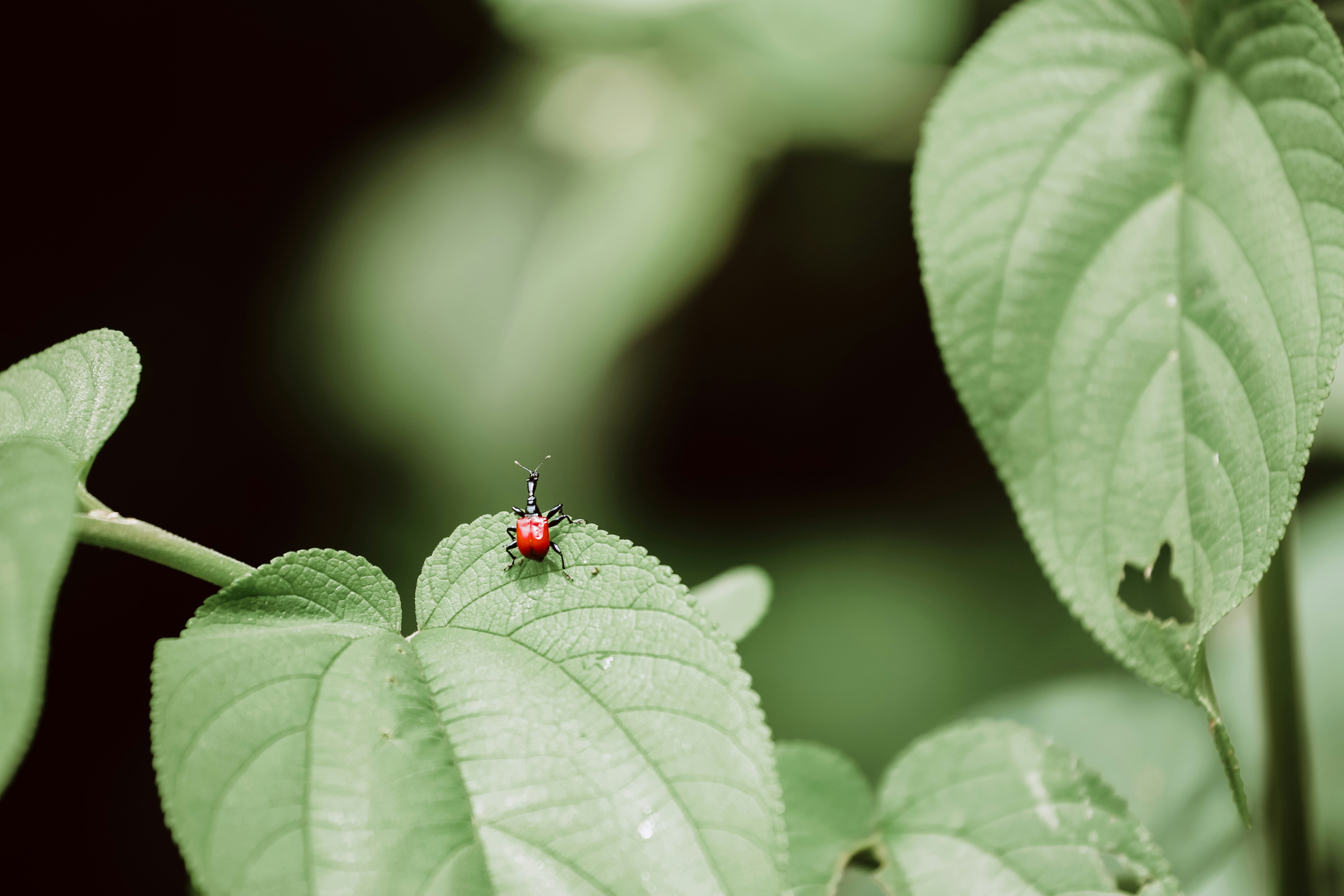 Photo by graphicnode