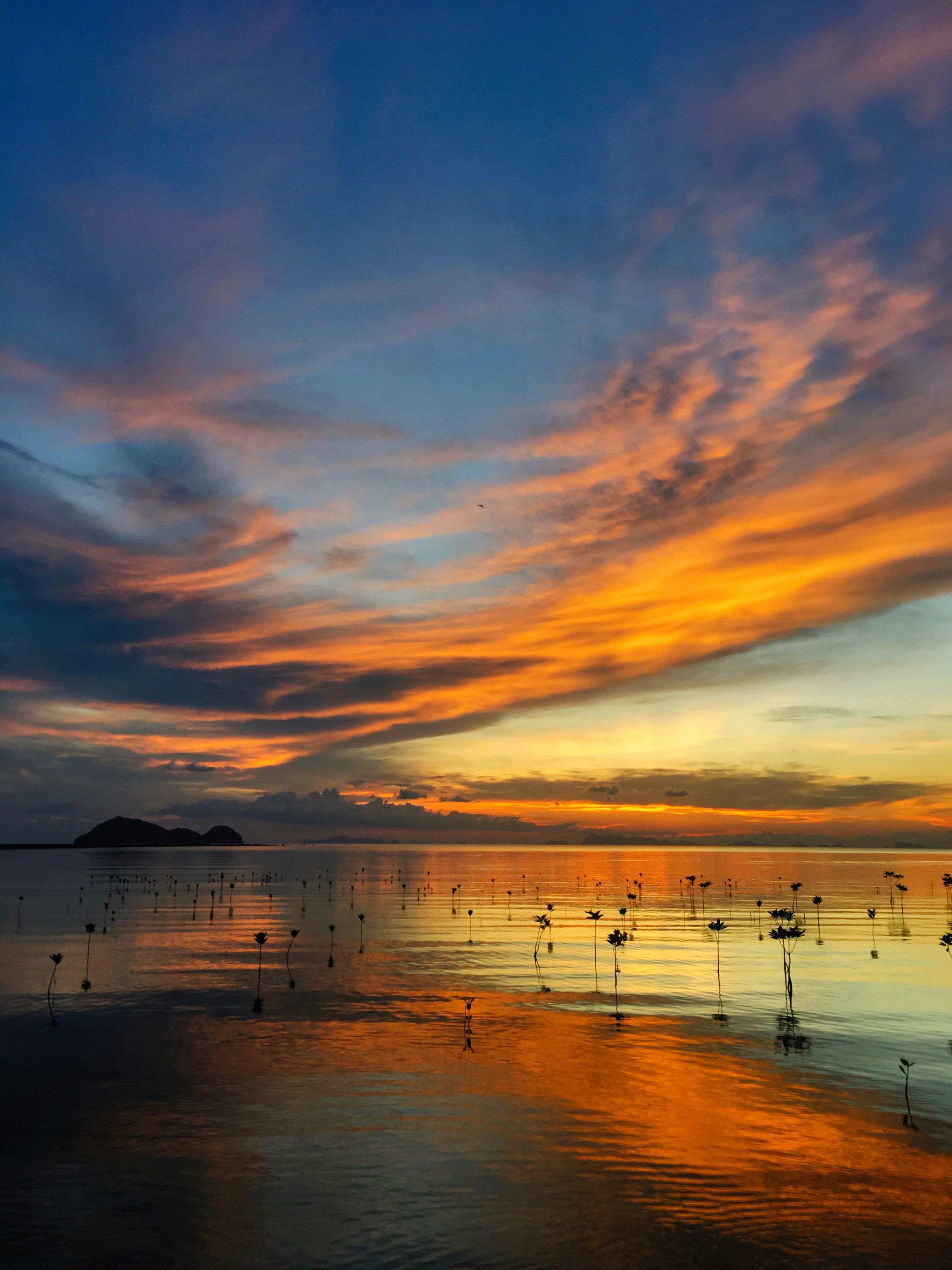 Photo by alexeydemidov