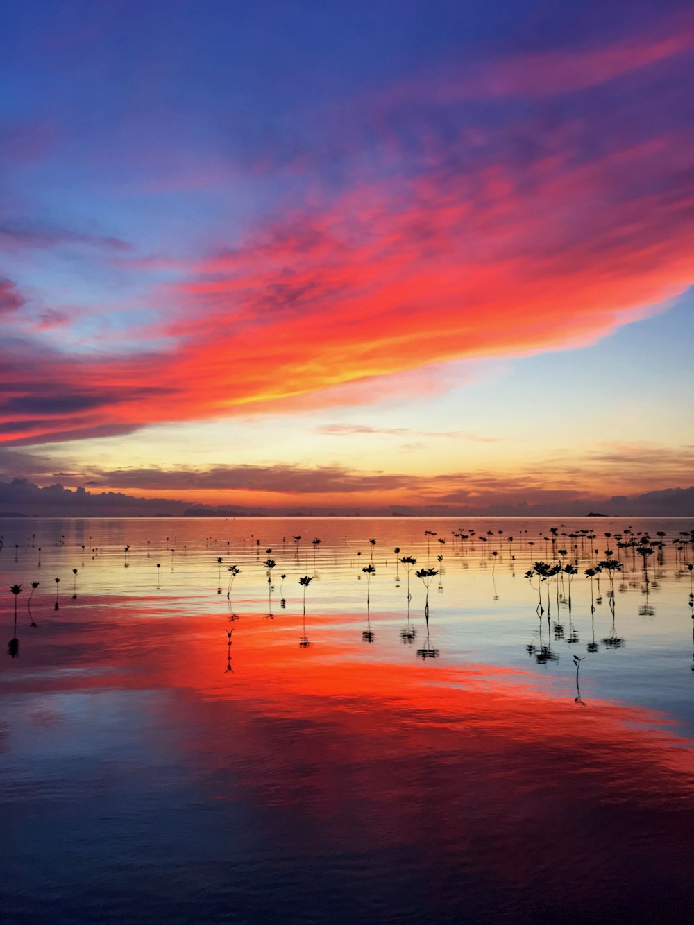 orange and blue sky reflecting on sea water at dusk