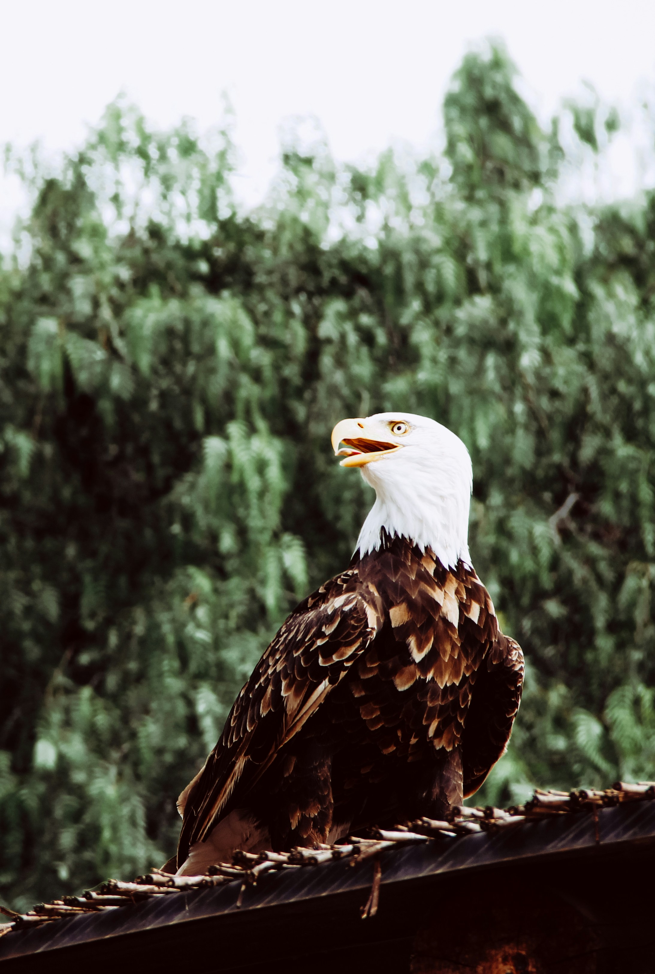 Photo by graphicnode